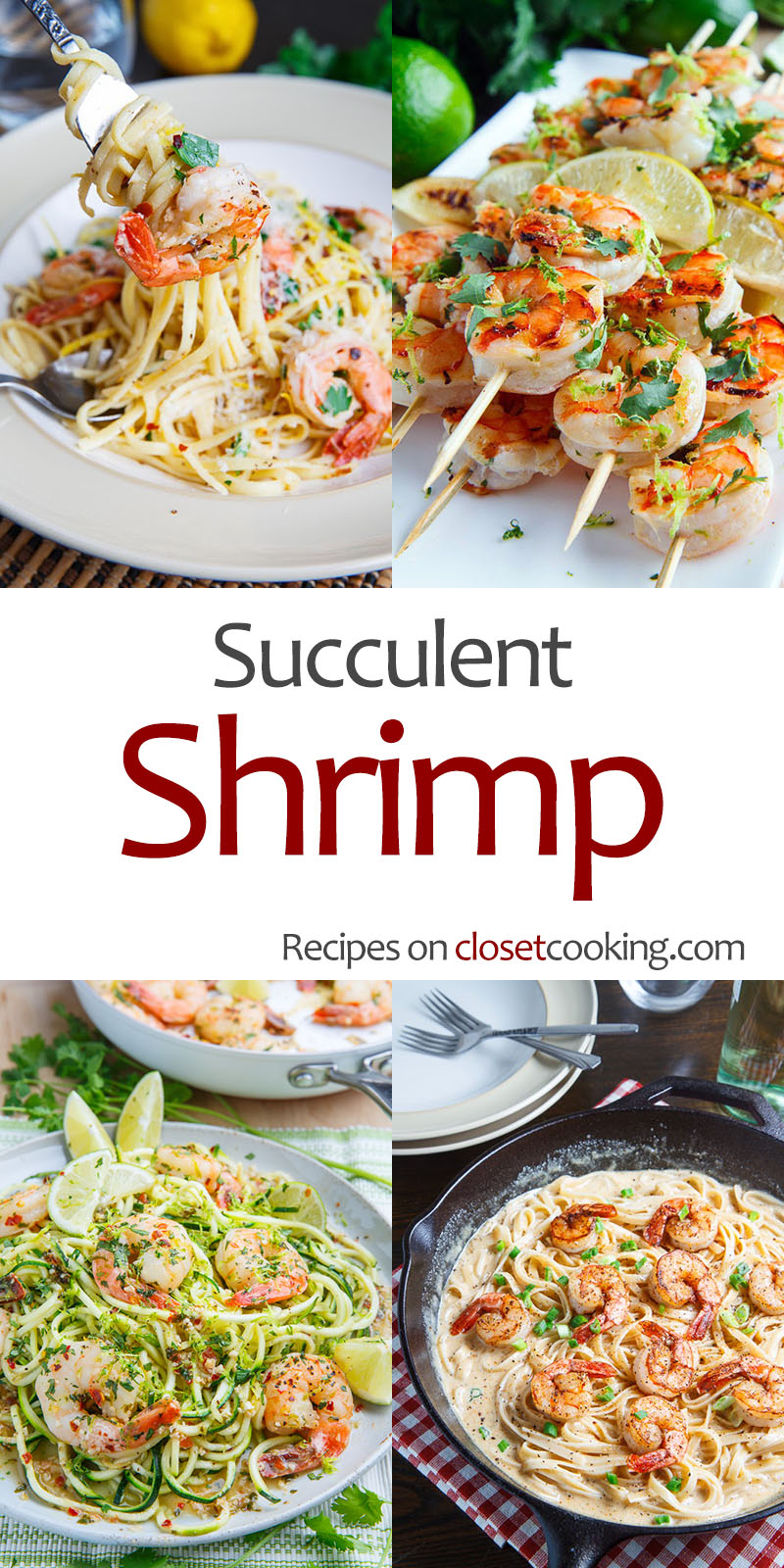 Succulent Shrimp Recipes