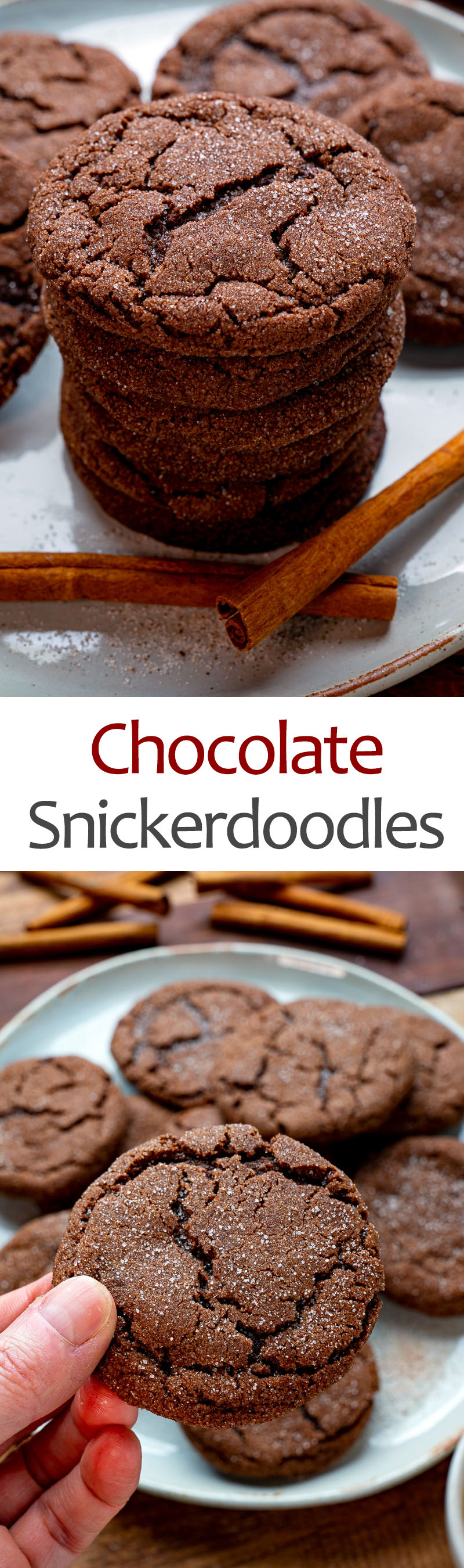 Chocolate Snickerdoodles