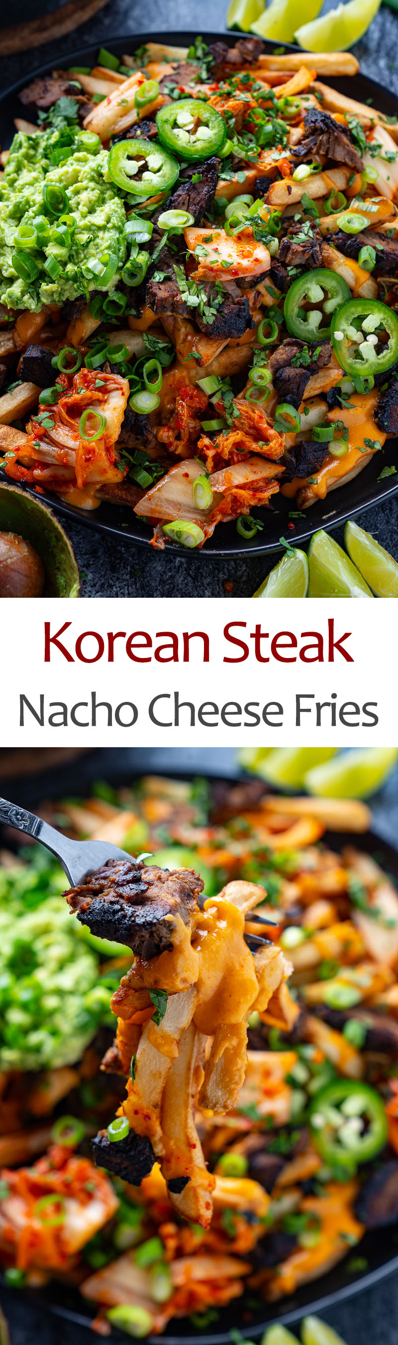 Korean Steak Nacho Cheese Fries