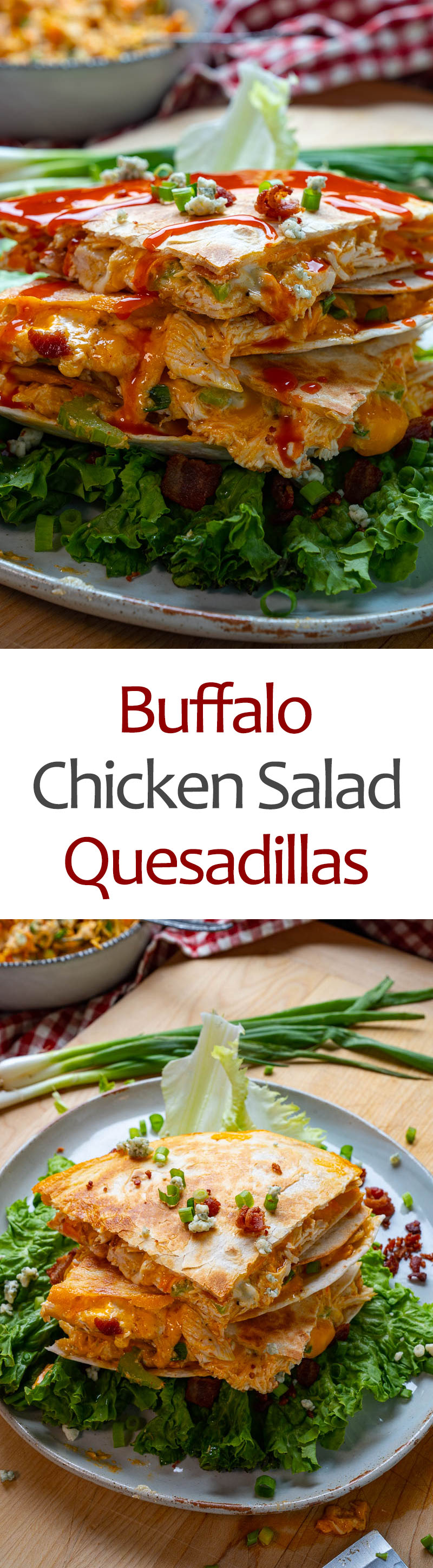 Buffalo Chicken Salad Quesadillas