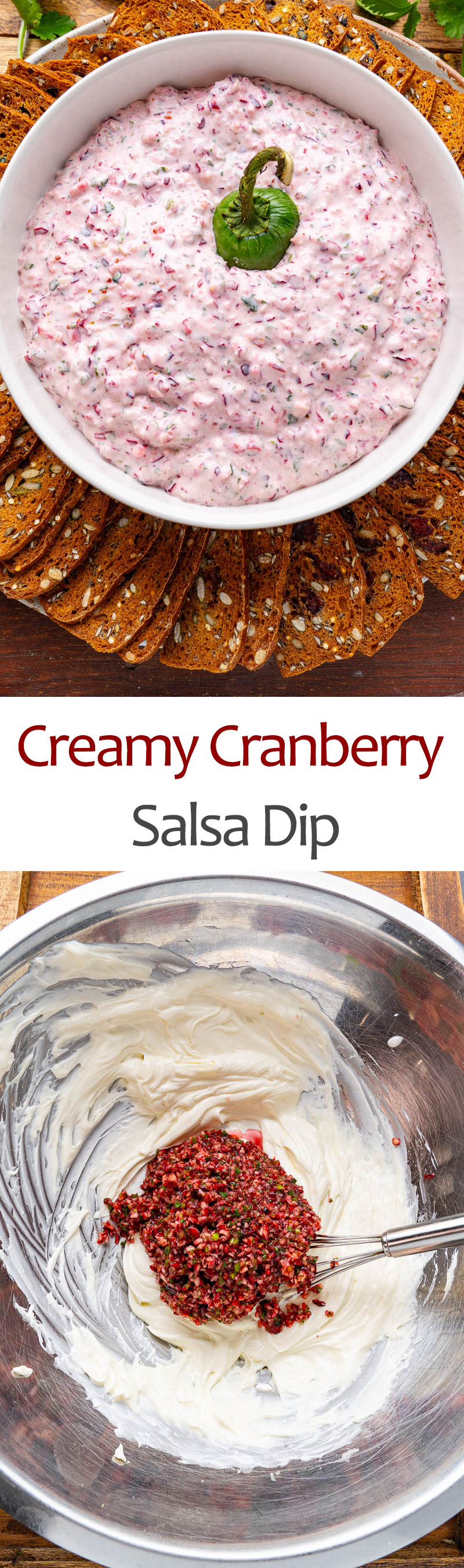 Creamy Cranberry Salsa Dip