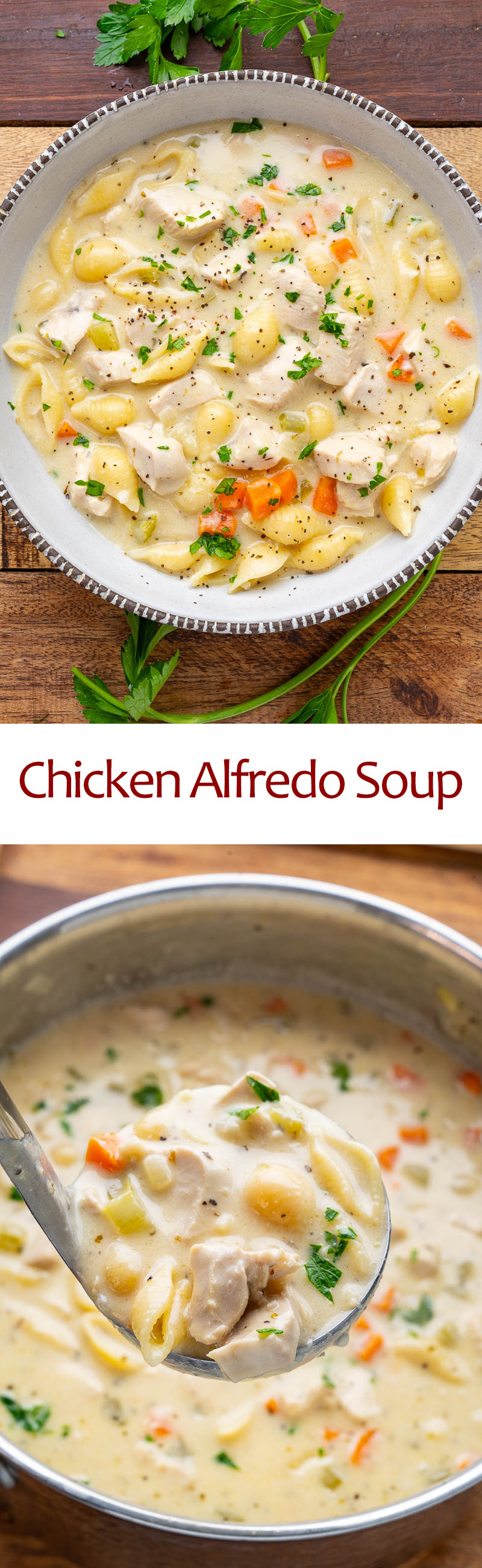 Chicken Alfredo Soup